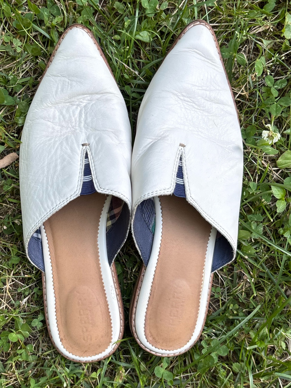 Sperry Women's Leather Mules